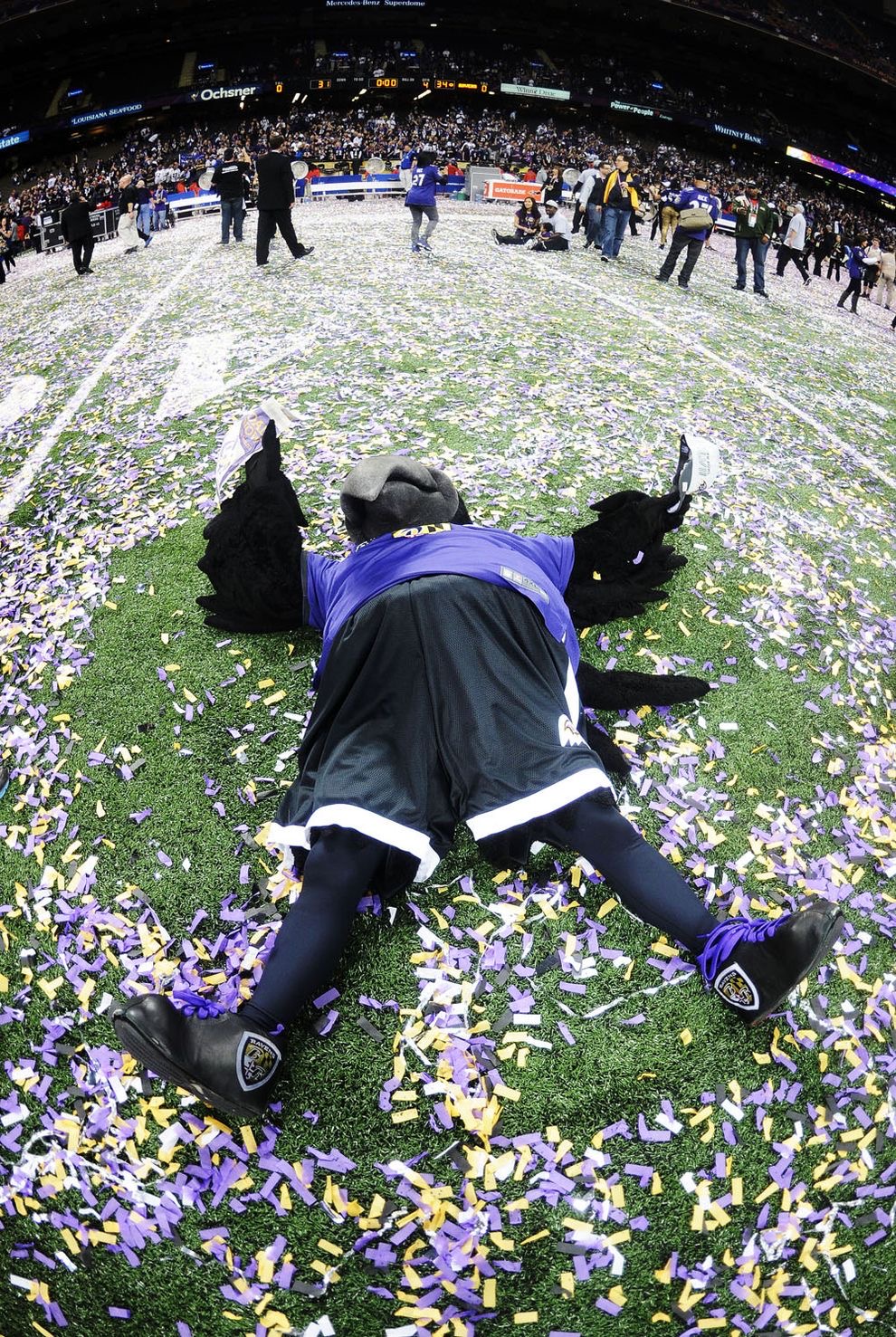 Ravens player celebrating Super Bowl win
